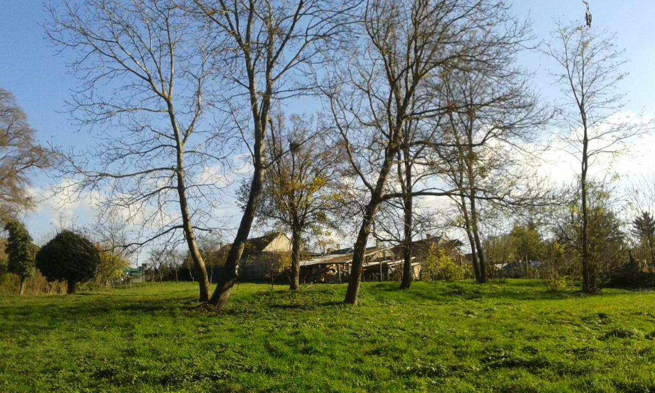 Bochmann Cottage Zalaszanto 外观 照片